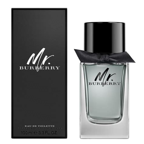 buy mr burberry|Burberry mr Burberry edt 100ml.